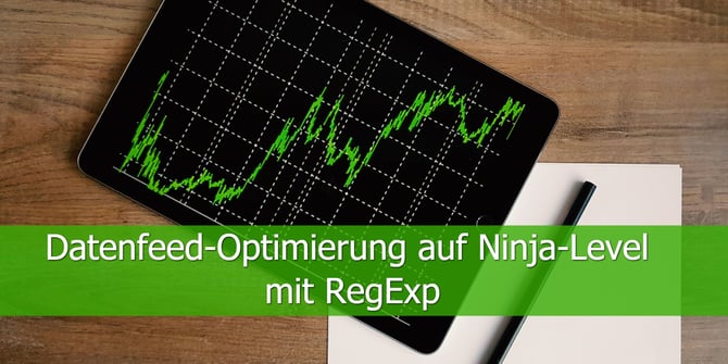 Datenfeed-Optimierung-auf-Ninja-Level-mit-RegExp