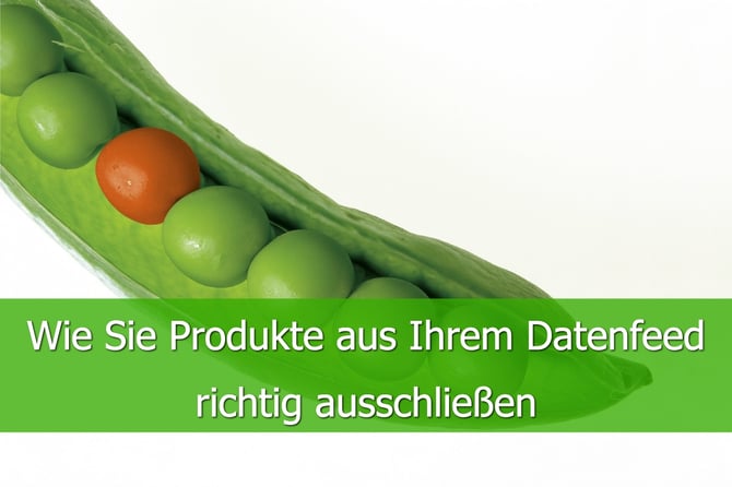 Wie Sie Produkte aus Ihrem Datenfeed richtig ausschließen (1)-1.jpg